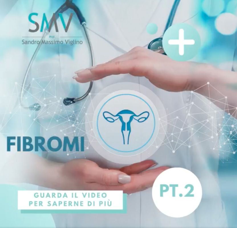 Fibromi: video parte 2